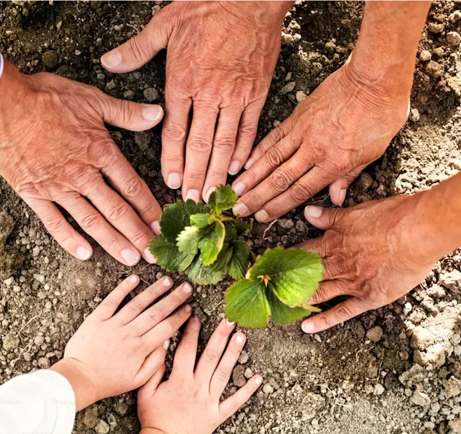 Compromiso social Marlex