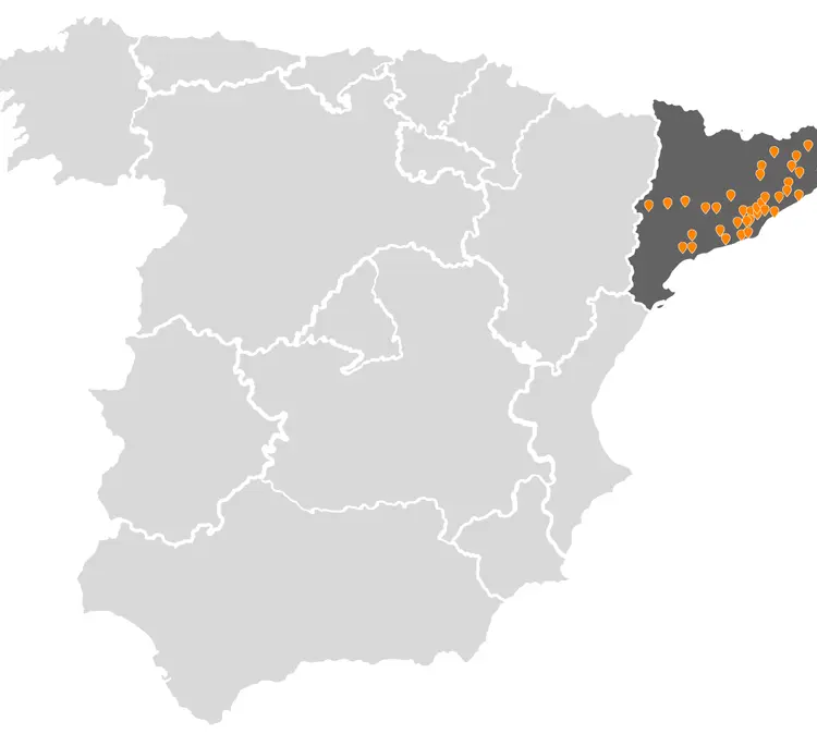 Marlex sigue creciento