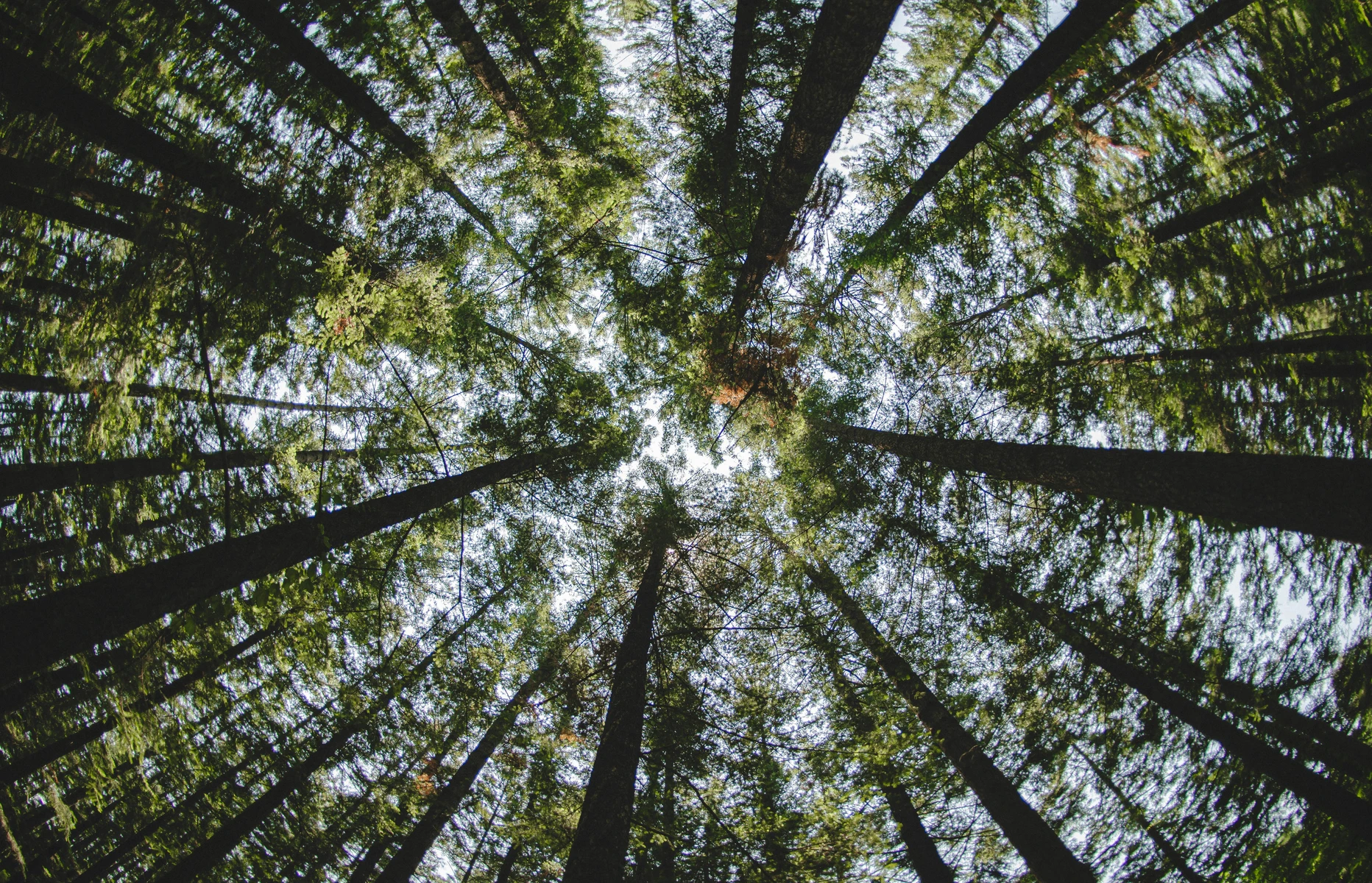 Acción climática Marlex